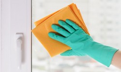 Etiam dictum egestas