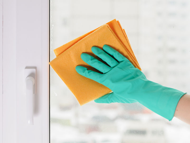 Etiam dictum egestas